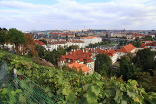 Vinohrady