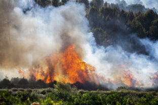 Spain Wildfire