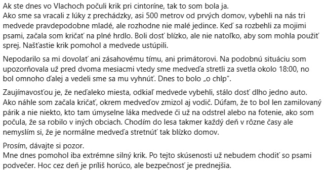Medveď spišské vlachy
