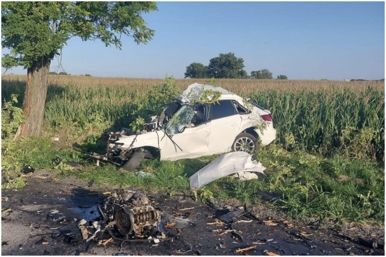 Dopravná nehoda, Dunajská Streda