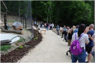 ZOO, Košice
