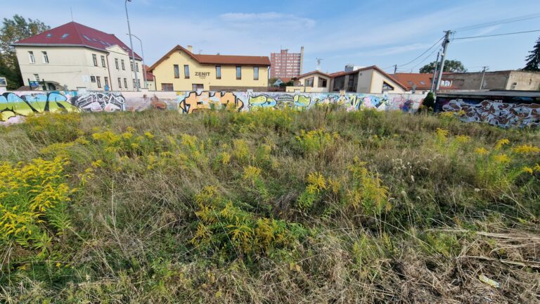 Skaterpark, Prešov