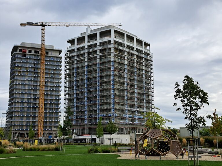 Slnečnice Nad mestom