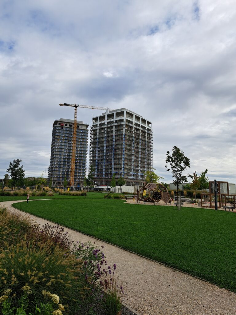 Slnečnice Nad mestom