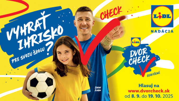 915x517 lidl dvrocheck.jpg