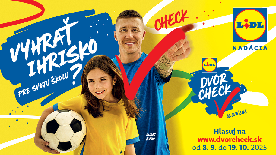 915x517 lidl dvrocheck.jpg