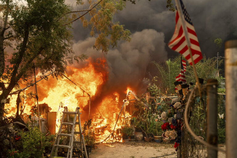 požiar planene oheň vlajka stromy dym