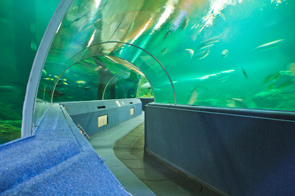 presklený tunel