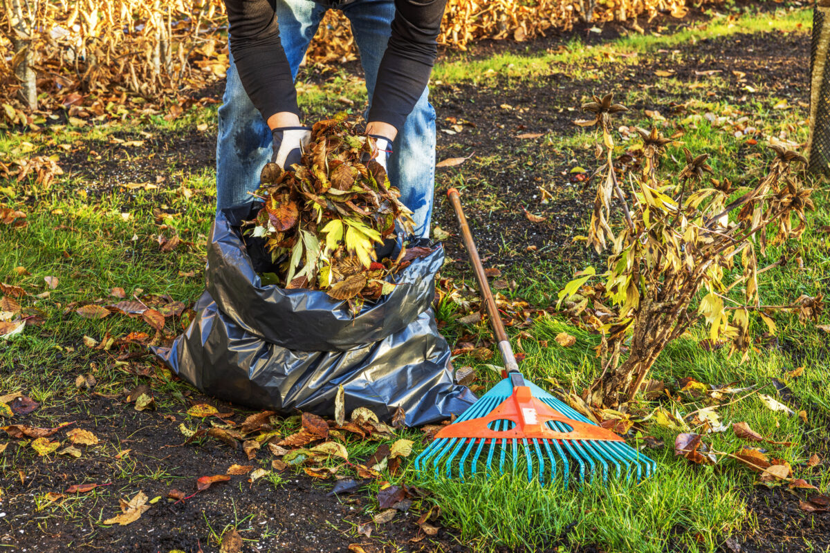 starostlivosť o záhradu
