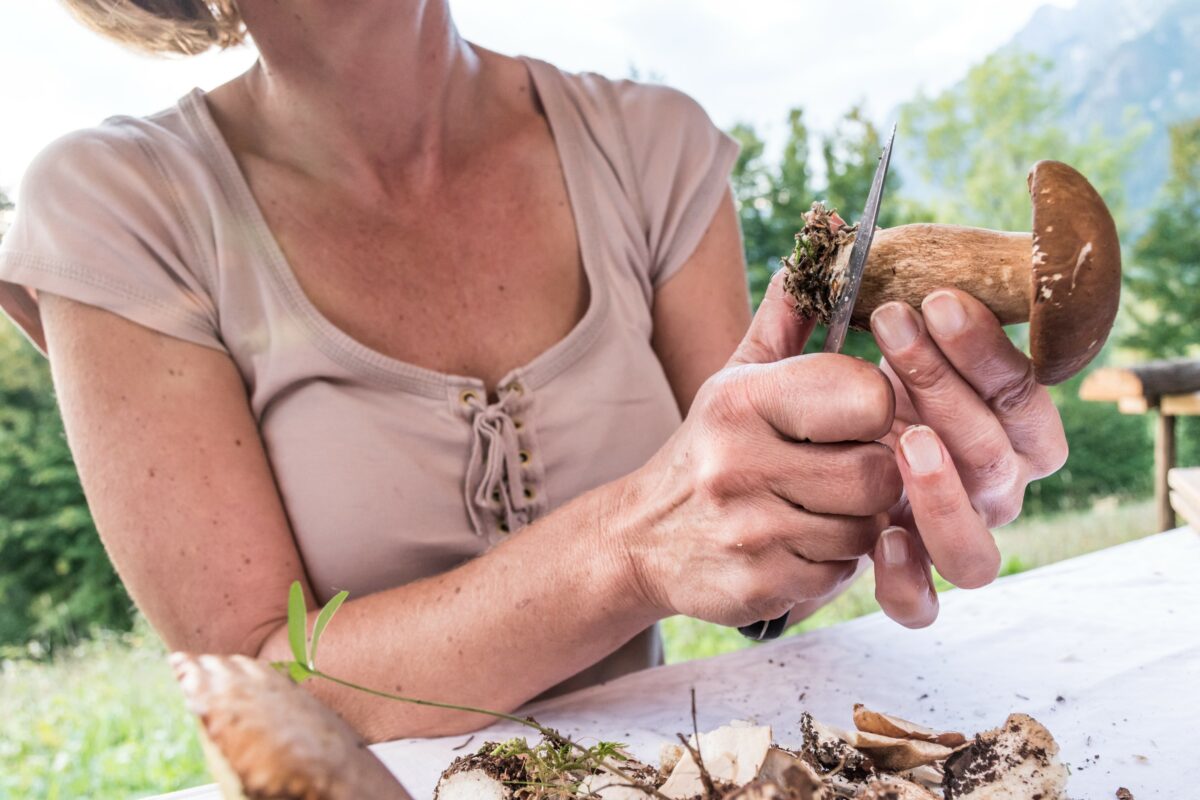 Woman Cleaning Picked Up Ceps Mushrooms