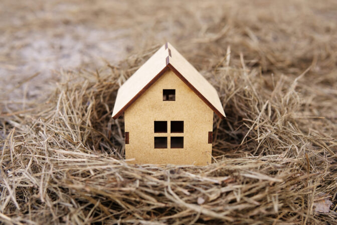 Tiny wooden house in a bird's nest on the ground