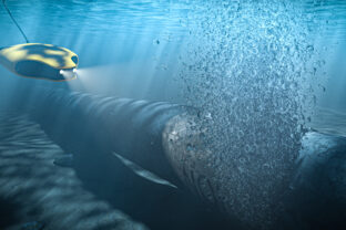 Nord stream broken pipe, investigation with an underwater drone. Energy crisis in Europe. the concept of rising energy prices. 3d render