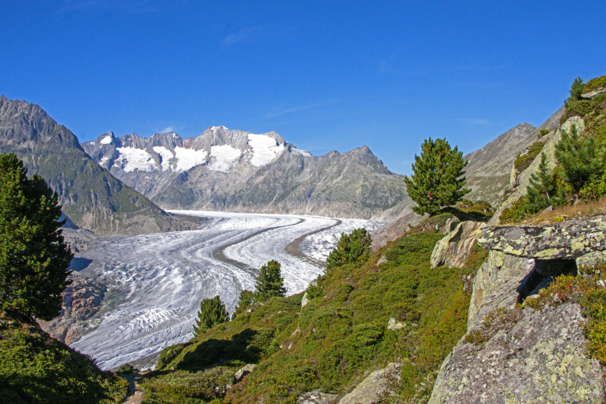Ustupujúci ľadovec Aletsch vo švajčiarskych Alpách obklopený horami a zelenou vegetáciou.