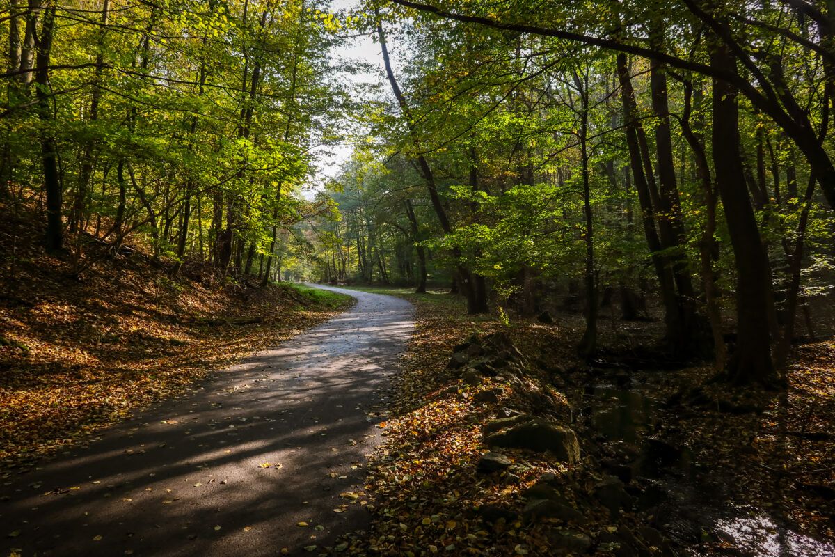 Walking trail in Little Carpathians forest near Bratislava