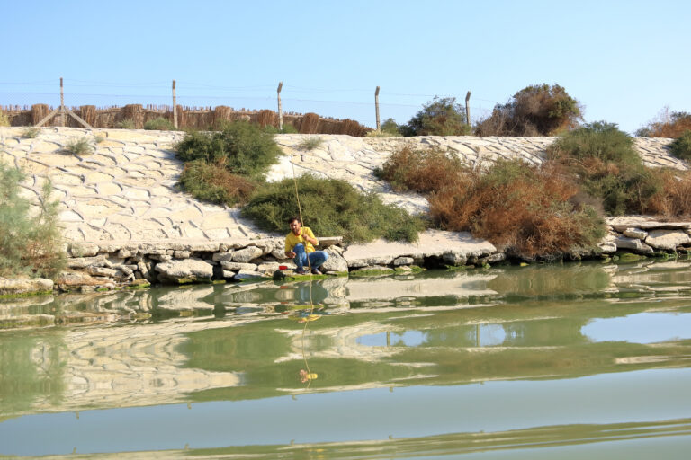 Fishing in the marshlands of Iraq