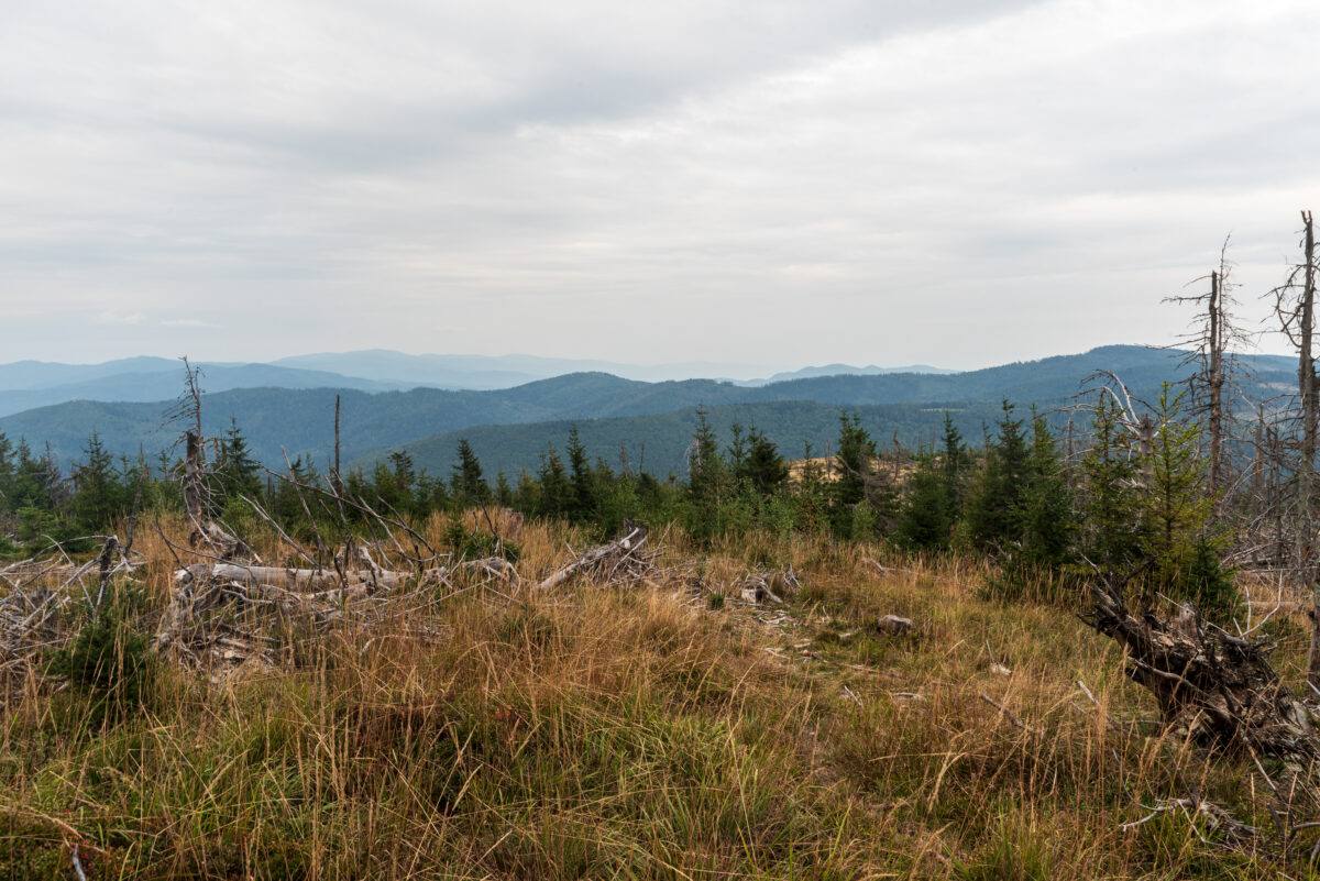 View from PIpitka hill in Volovske vrchy mountains in Slovakia