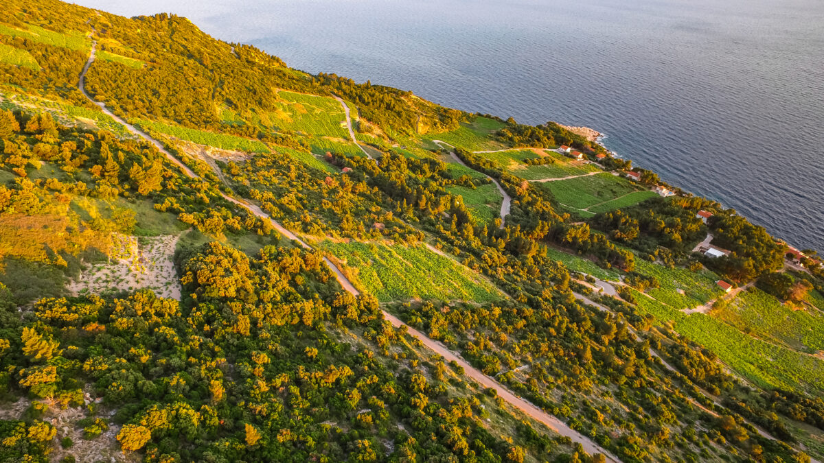 Peljesac vinogradi optimizirano