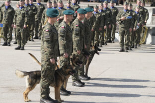 Poland Dog Soldiers