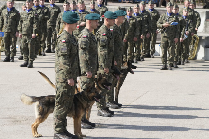 Poland Dog Soldiers