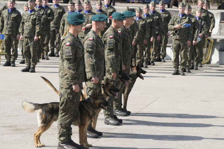 Poland Dog Soldiers