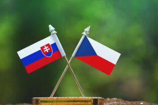 Vlajky Českej a Slovenskej republiky