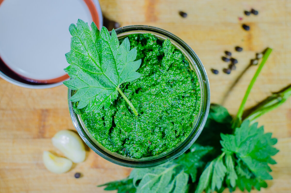 žihľavové pesto