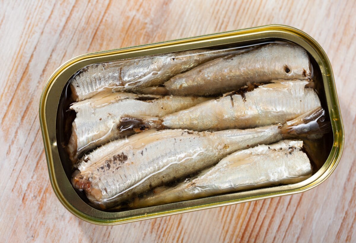 sardinky