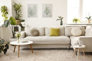 Feng shui v domácnosti