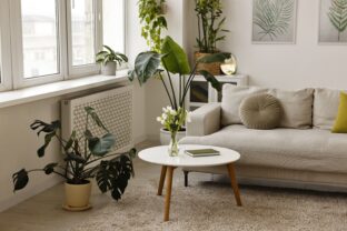 Feng Shui v domácnosti