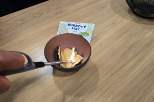 Spaľovanie bobkového listu