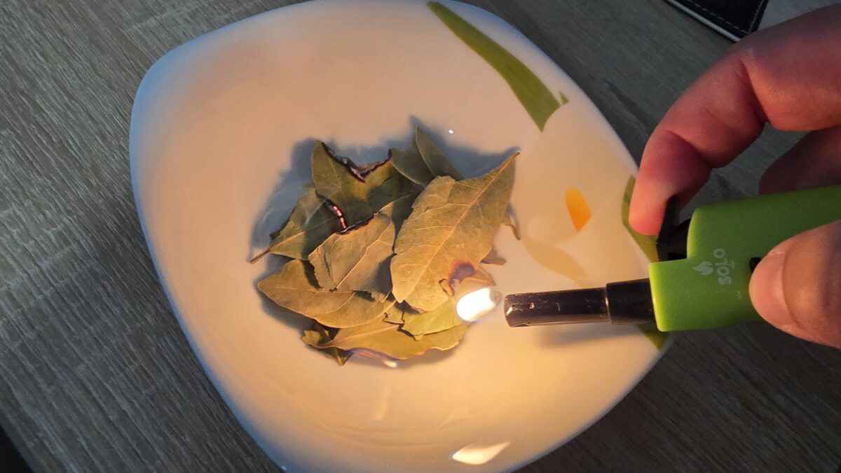 Prečo má zmysel doma pravidelne páliť bobkový list