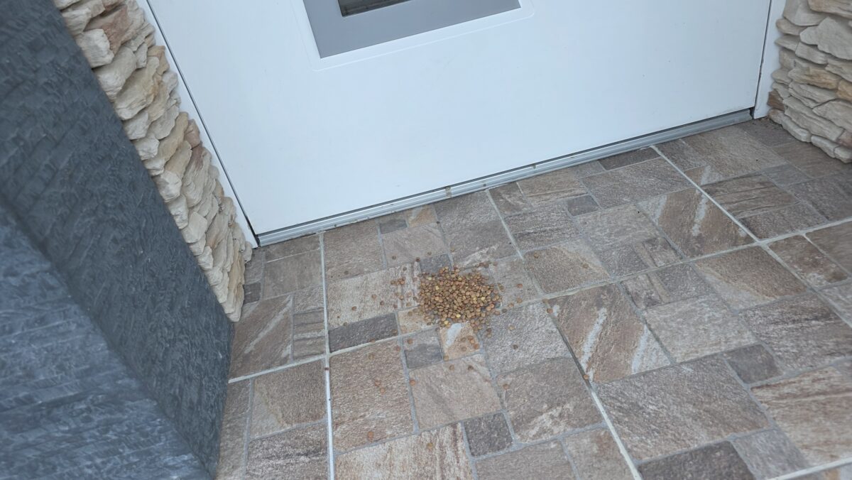 Monika našla pred dverami rozsypanú fazuľu