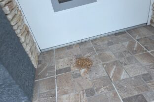 Monika našla pred dverami rozsypanú fazuľu