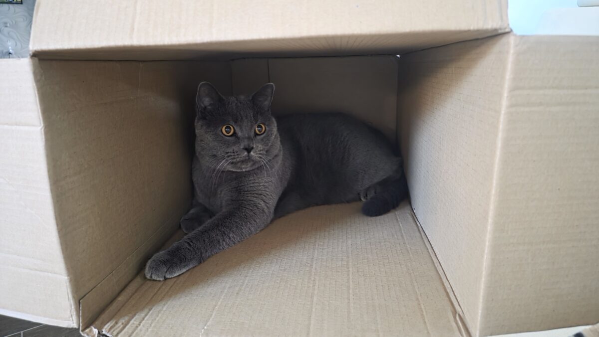 20251008_091242 1.jpg