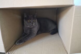 20251008_091242 1.jpg