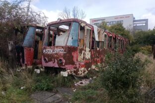 20251011_foto_vozne_sabaka.jpg