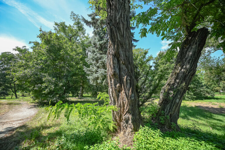 Historický park v Malinove prechádza rozsiahlou rekonštrukciou.