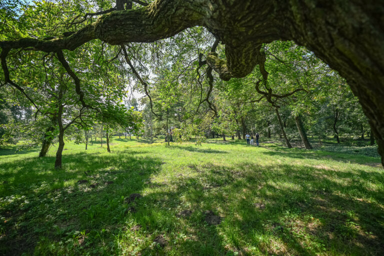 Historický park v Malinove prechádza rozsiahlou rekonštrukciou.