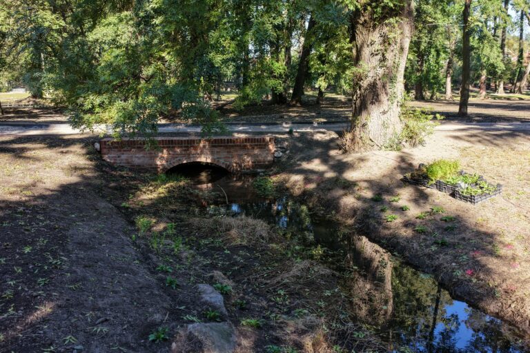 Obnova kaštieľskeho parku v Stupave