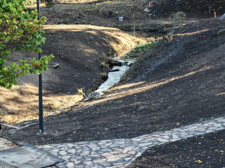 Obnova kaštieľskeho parku v Stupave