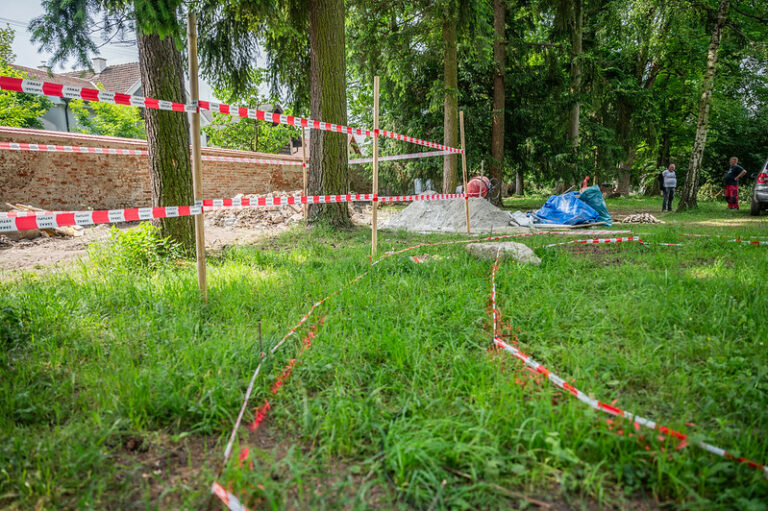 park zeleň vegetácia strom tráva listy prírodná scenéria obnova verejného priestoru oddychová zóna rekonštrukcia pásky