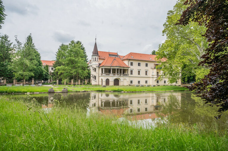 Kaštieľsky park Stupava jazero tráva stromy