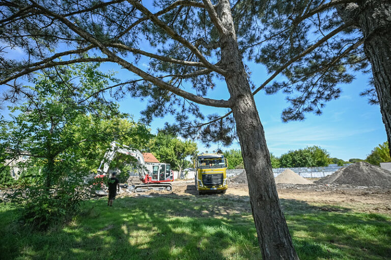 park zeleň vegetácia strom tráva listy prírodná scenéria obnova verejného priestoru oddychová zóna rekonštrukcia