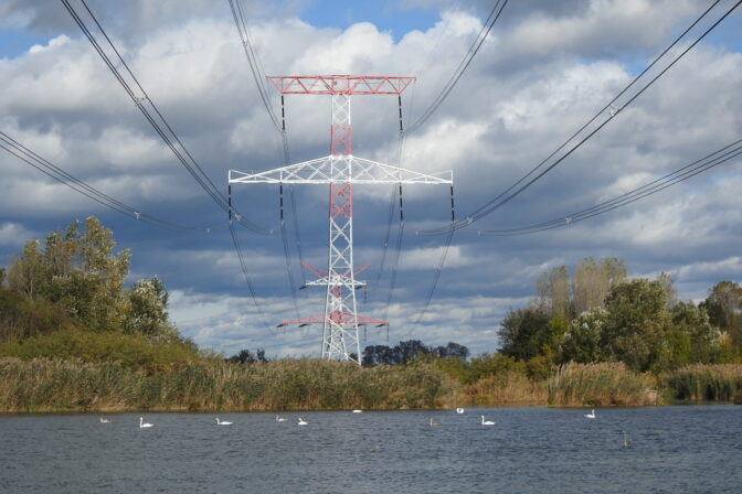 ENVIRO: Opatrenia na ochranu vtákov