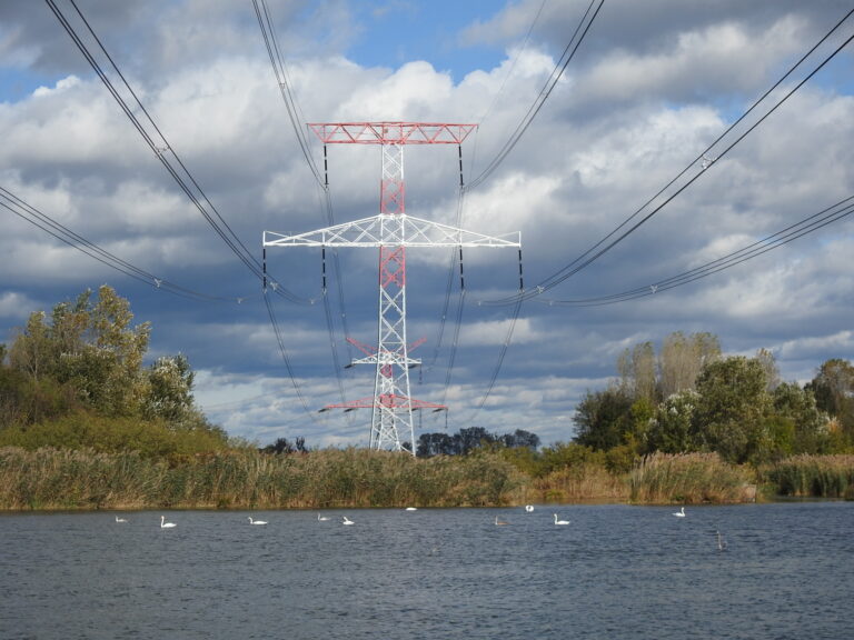 ENVIRO: Opatrenia na ochranu vtákov