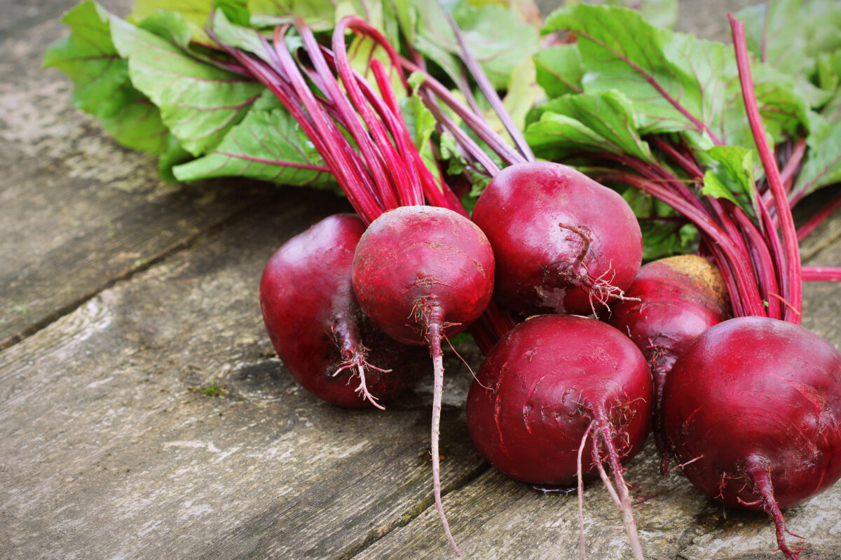 červená repa