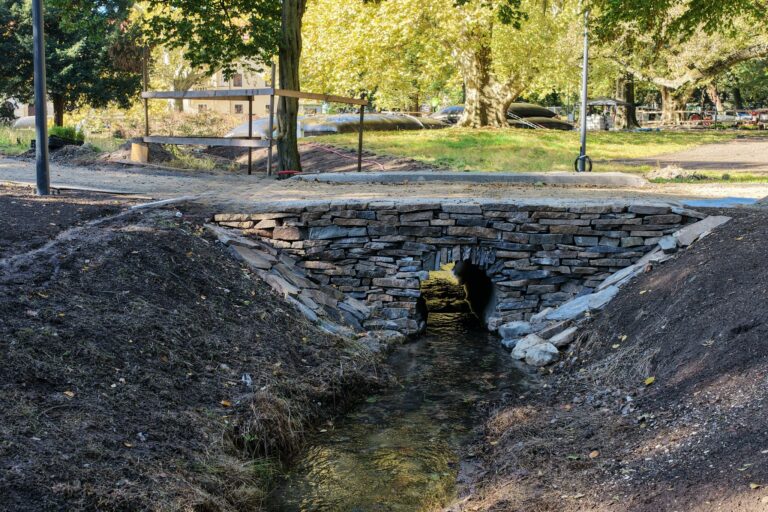 Obnova kaštieľskeho parku v Stupave