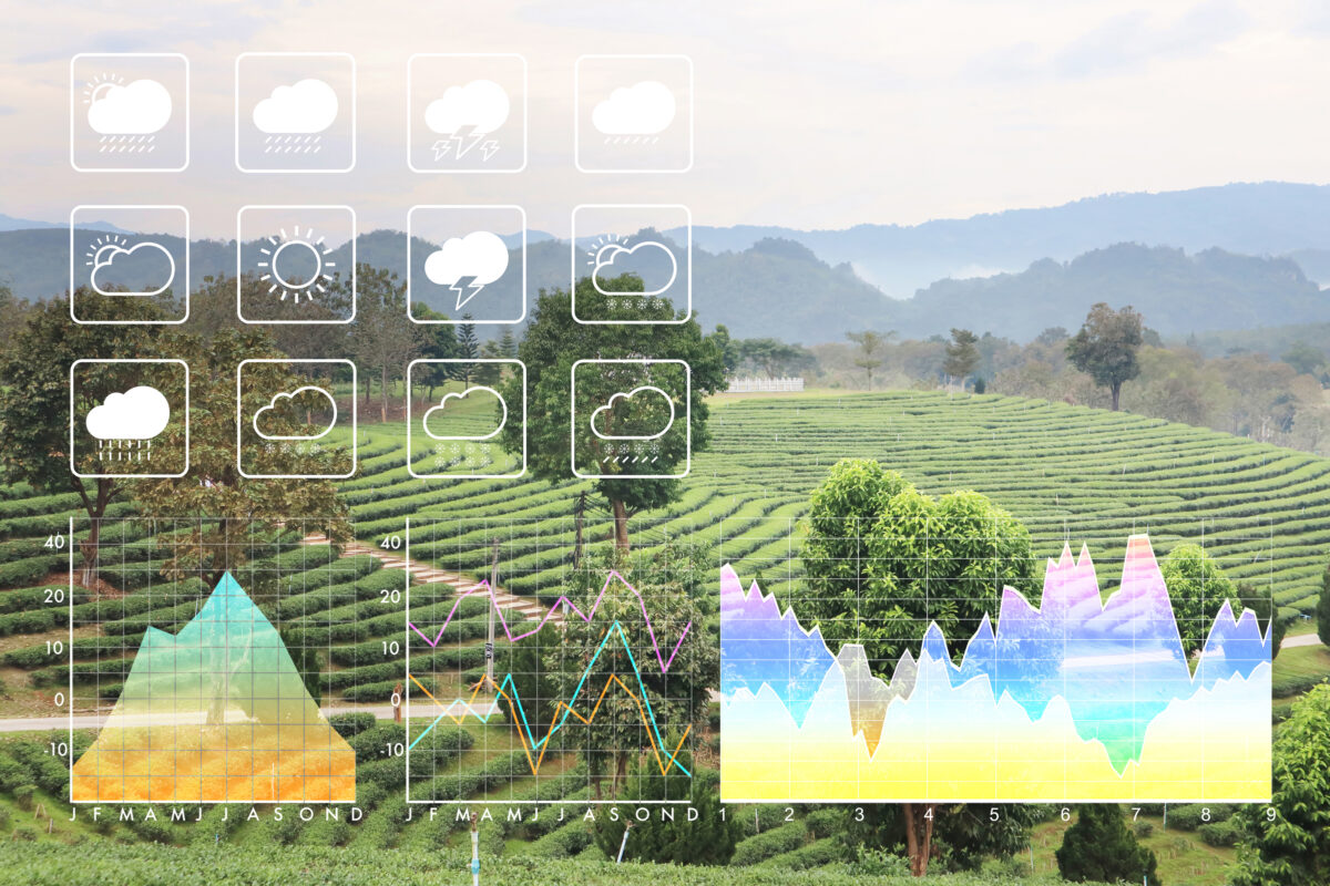 Weather forecast symbol data presentation with graph and chart on freshness clean nature green morning background.