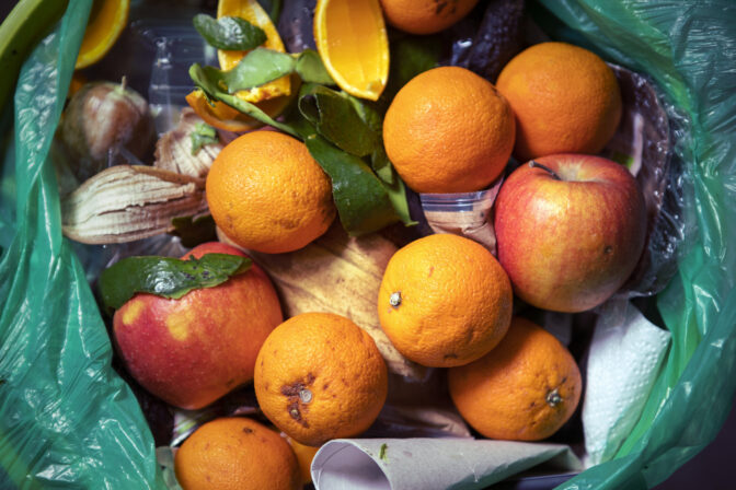 Food waste problem, leftovers Thrown into into the trash can. Spoiled food in refuse bin. Spoiled oranges and apples close up. Ecological issues. Garbage. Concept of food waste reduction. From above.
