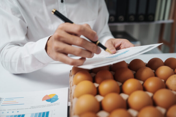 A businessman checks eggs at a work table in a factory, ensuring cleanliness and freshness. Food safety experts inspect quality during sorting on the production line, adhering to industry standards